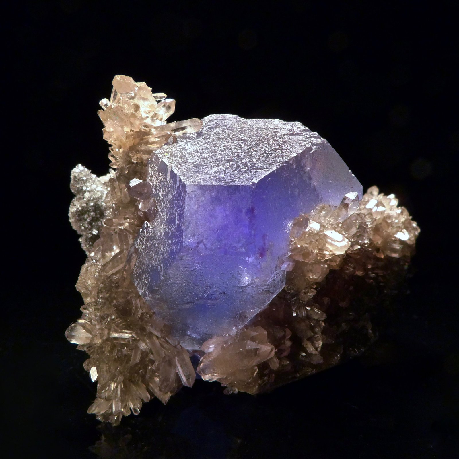 Fluorita
8 x 5 x 4,5 cm
(Autor: Josele)