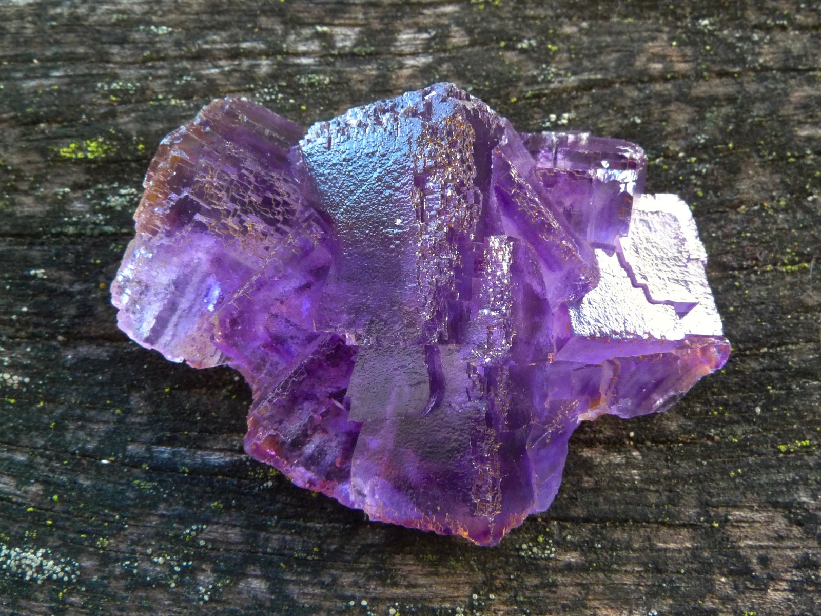 Fluorita
7 x 4,5 x 2,5 cm
(Autor: Josele)
