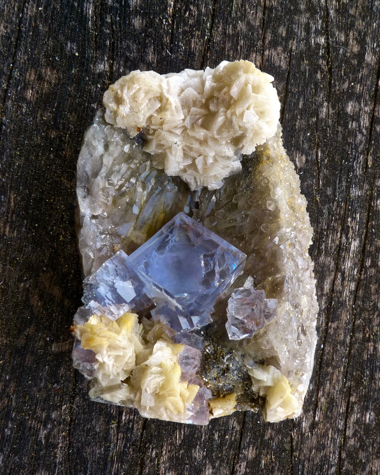 Fluorita
8 x 6 x 5 cm
(Autor: Josele)