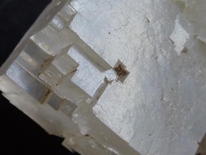 Halita
7 cm x 4 cm
(Autor: javier ruiz martin)
