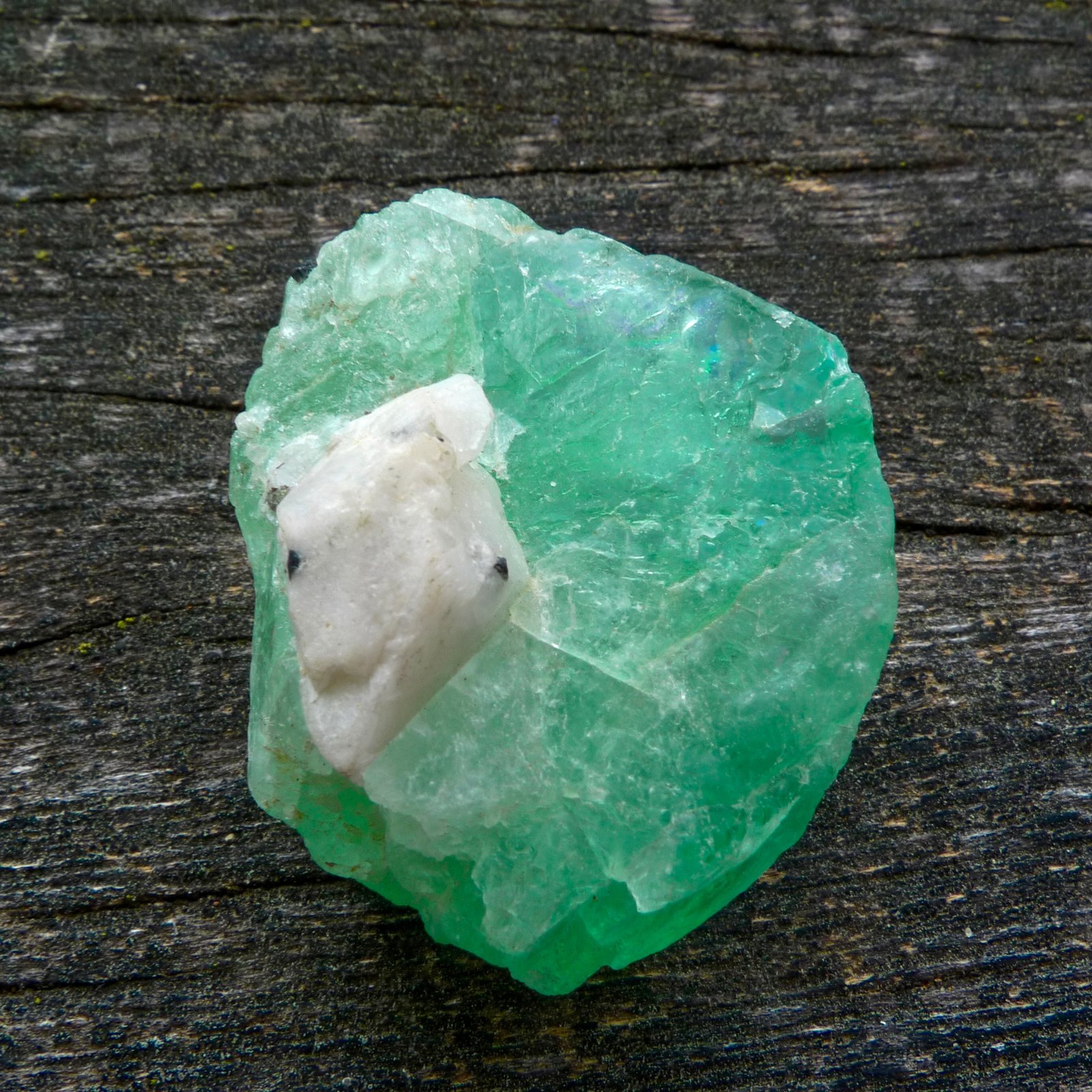 Fluorita
5 x 4 x 3 cm
(Autor: Josele)