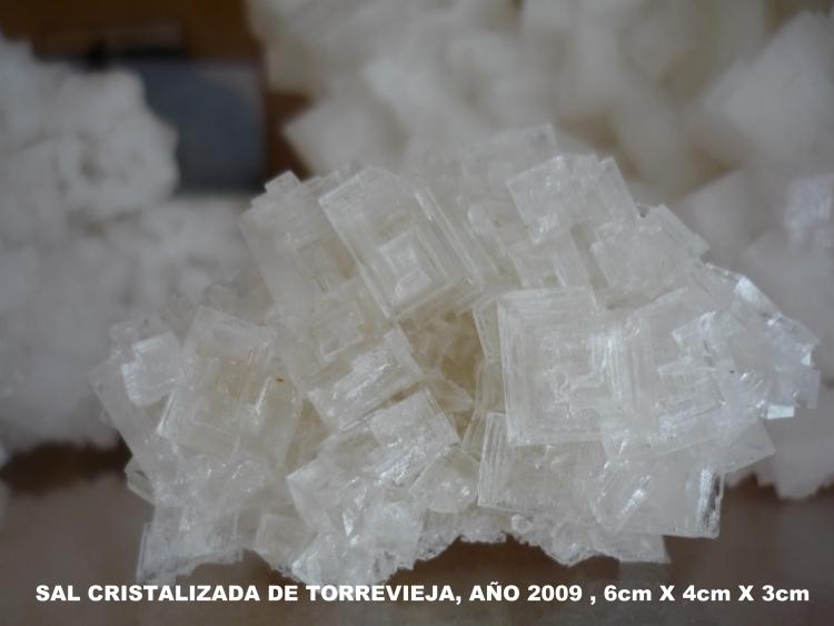 Halita
6 cm x 4 cm x3 cm
(Autor: Tomas Ruiz de Arbulo Saez)