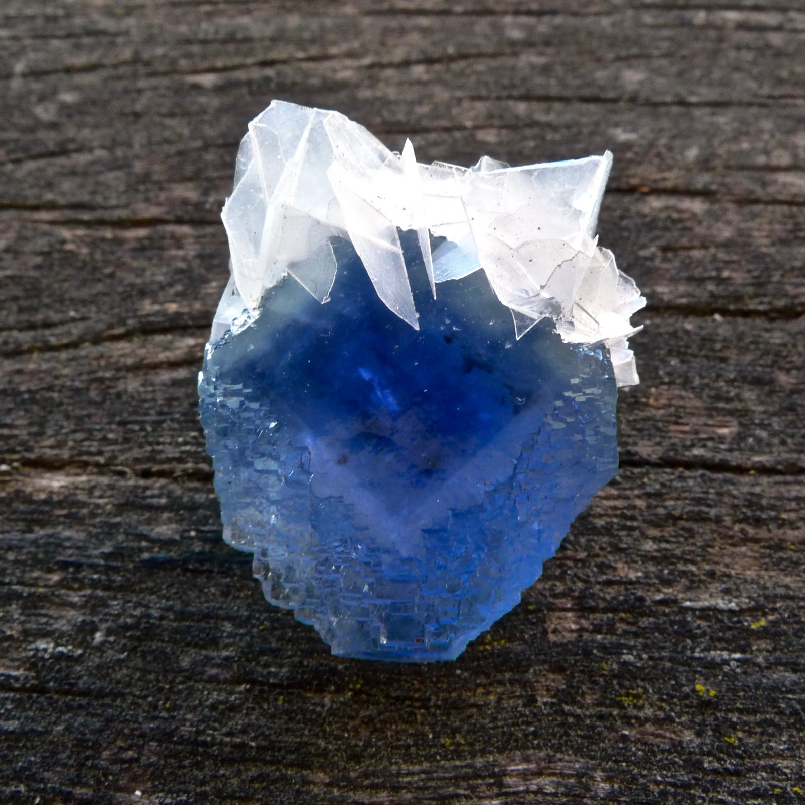 Fluorita
4 x 3,5 x 3,5 cm
(Autor: Josele)