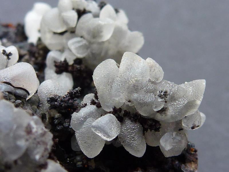 Smithsonita sobre Goethita
6 x 4 cm.
(Autor: javier ruiz martin)