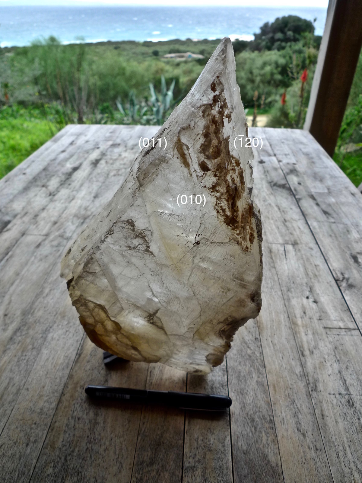 Yeso
30 x 16 x 6 cm
(Autor: Josele)