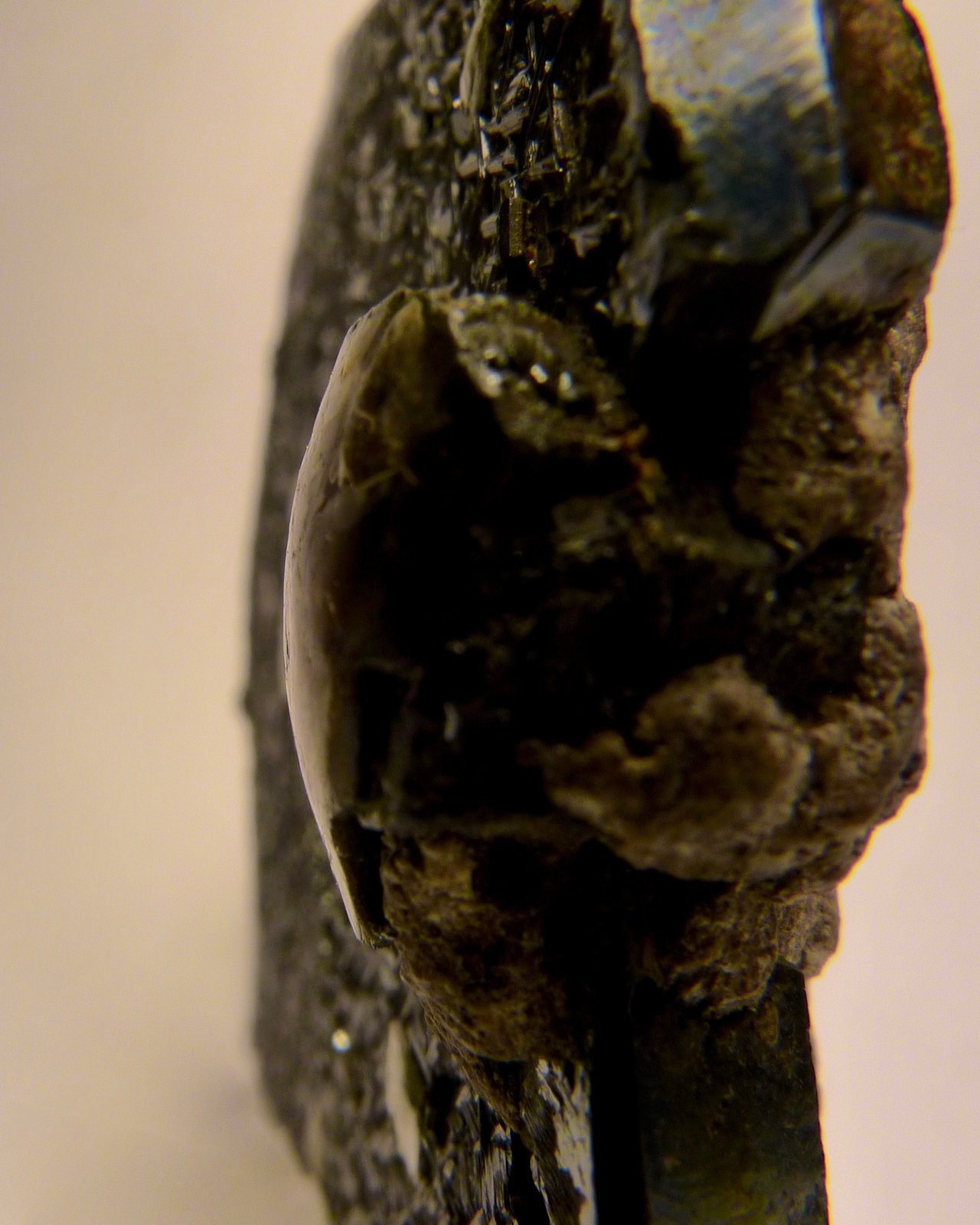 Muscovita
Cristal de mica: 12 mm
(Autor: Josele)