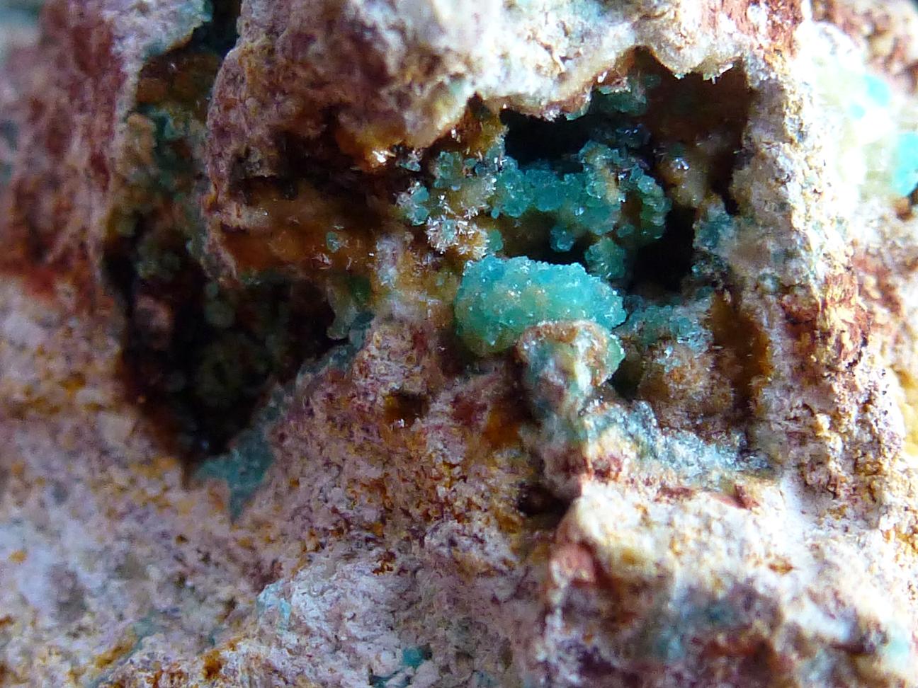 Turquesa
Pieza 5 x 4 cm. Geoda 2 x 0,5 cm.
(Autor: javier ruiz martin)