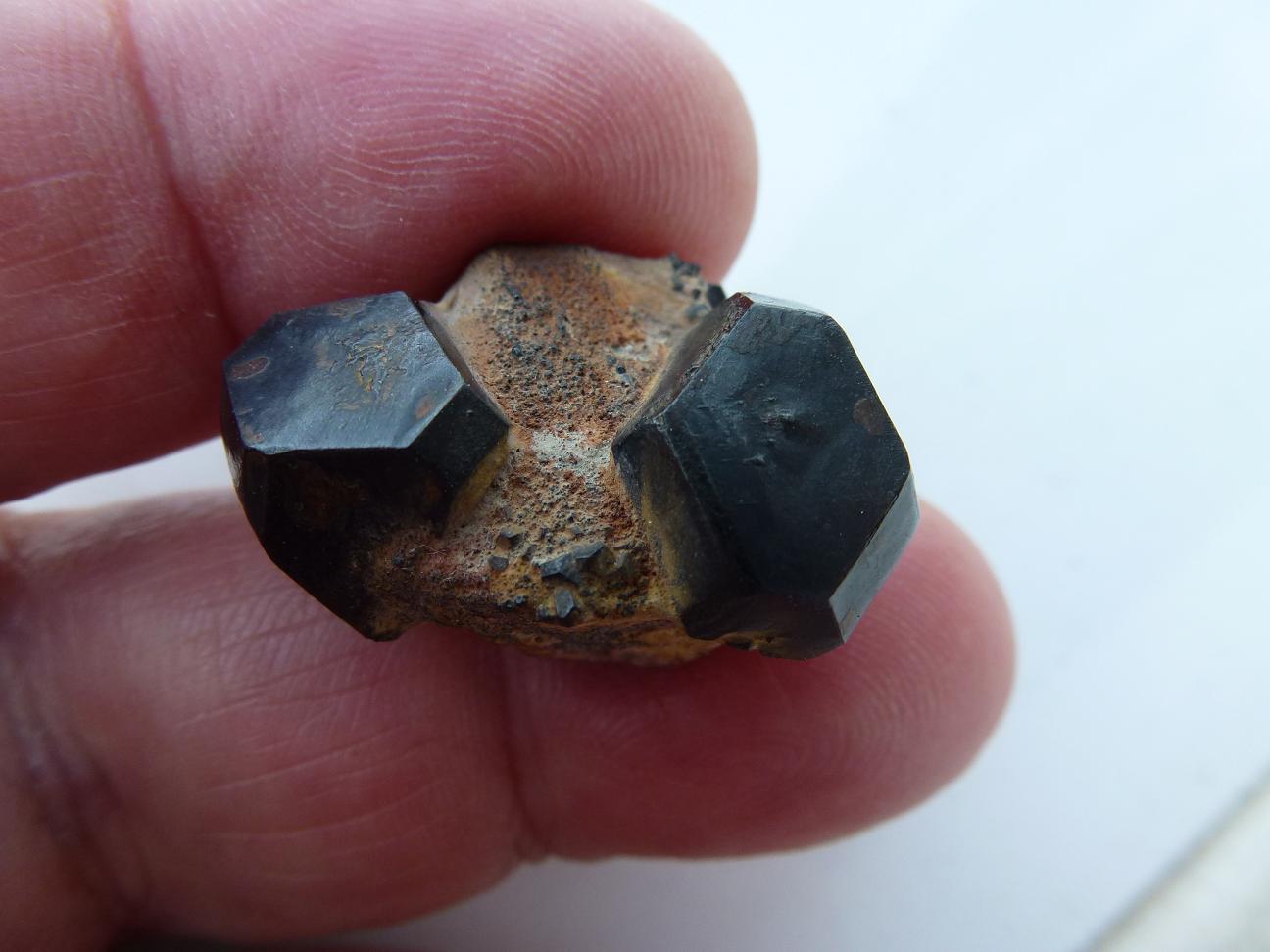 Pirita transformada en Hematites
2,5 x 1,5 cm.
(Autor: javier ruiz martin)