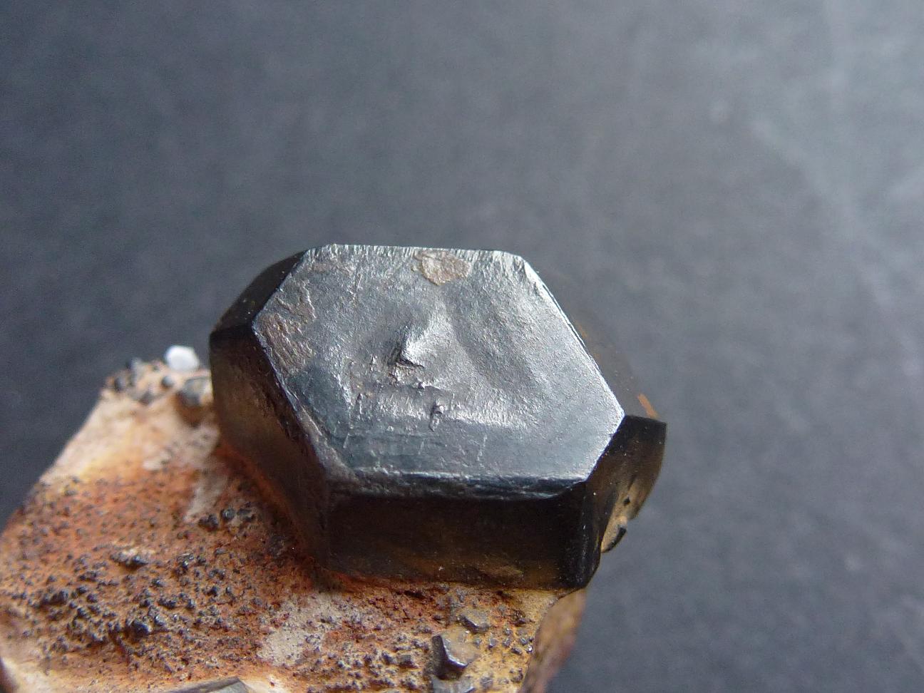 Pirita transformada en Hematites
2,5 x 1,5 cm.
(Autor: javier ruiz martin)