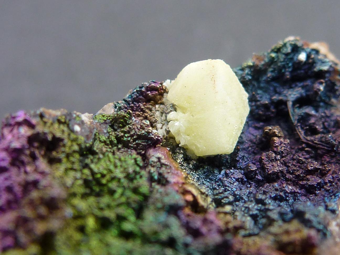 Cerusita pseudomorfizando Anglesita en Goethita
5 x 4 cm. El cristal 0,4 cm.
(Autor: javier ruiz martin)