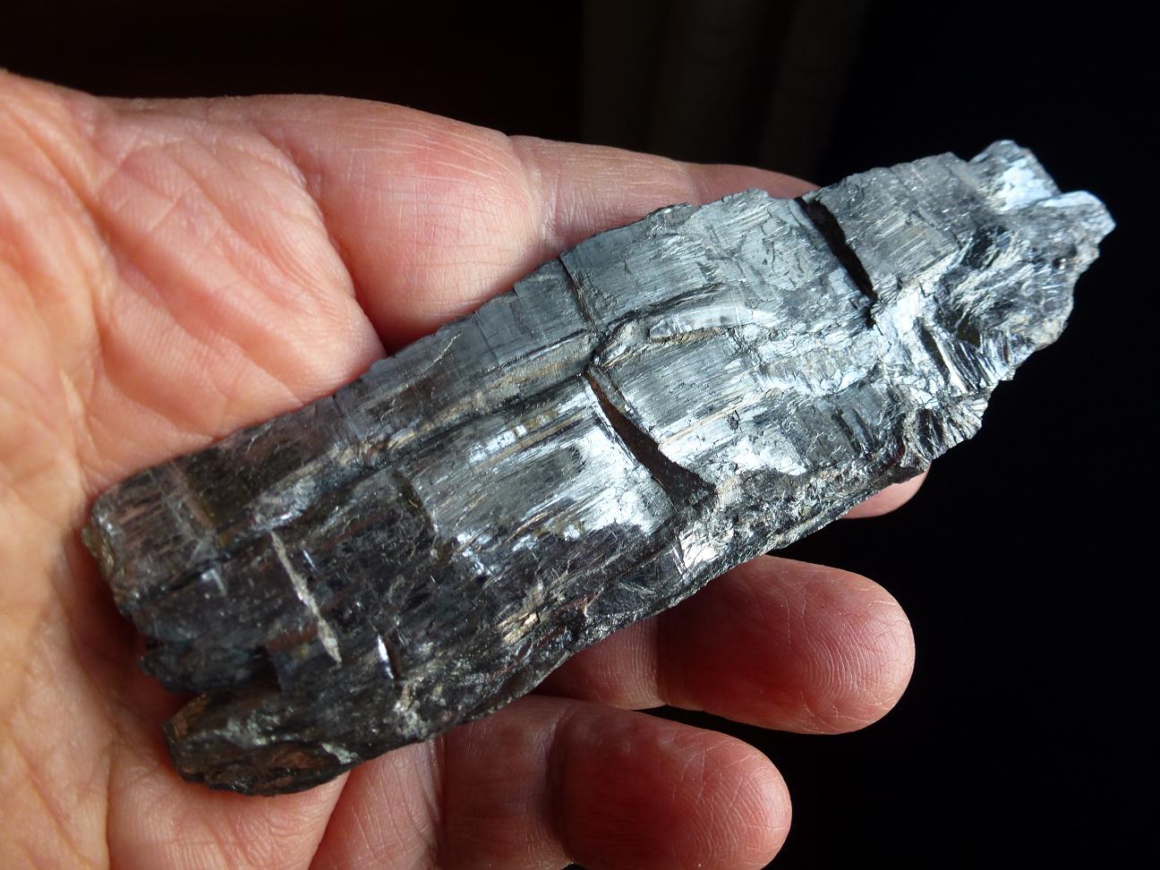 Estibina
12 x 4 cm.
(Autor: javier ruiz martin)