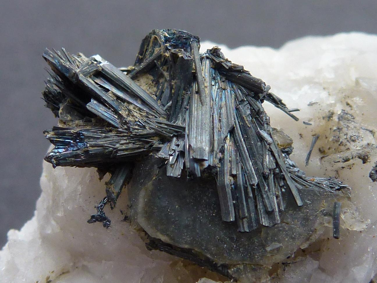 Estibina
3 x 2 cm.
(Autor: javier ruiz martin)