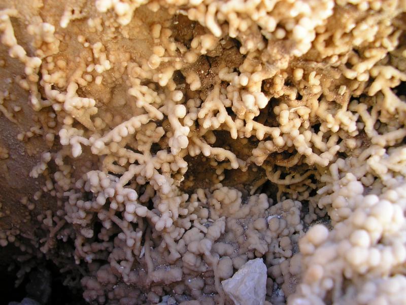 Calcita
Crecimientos de 1 cm.
(Autor: Miguel Ángel Martinez)