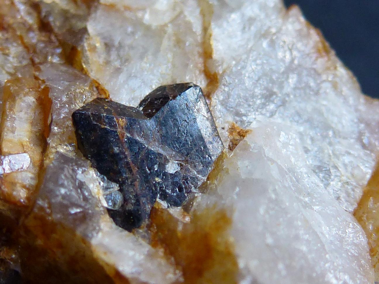 Casiterita, Cuarzo, Mica
Cristal de 0,2 cm.
(Autor: javier ruiz martin)