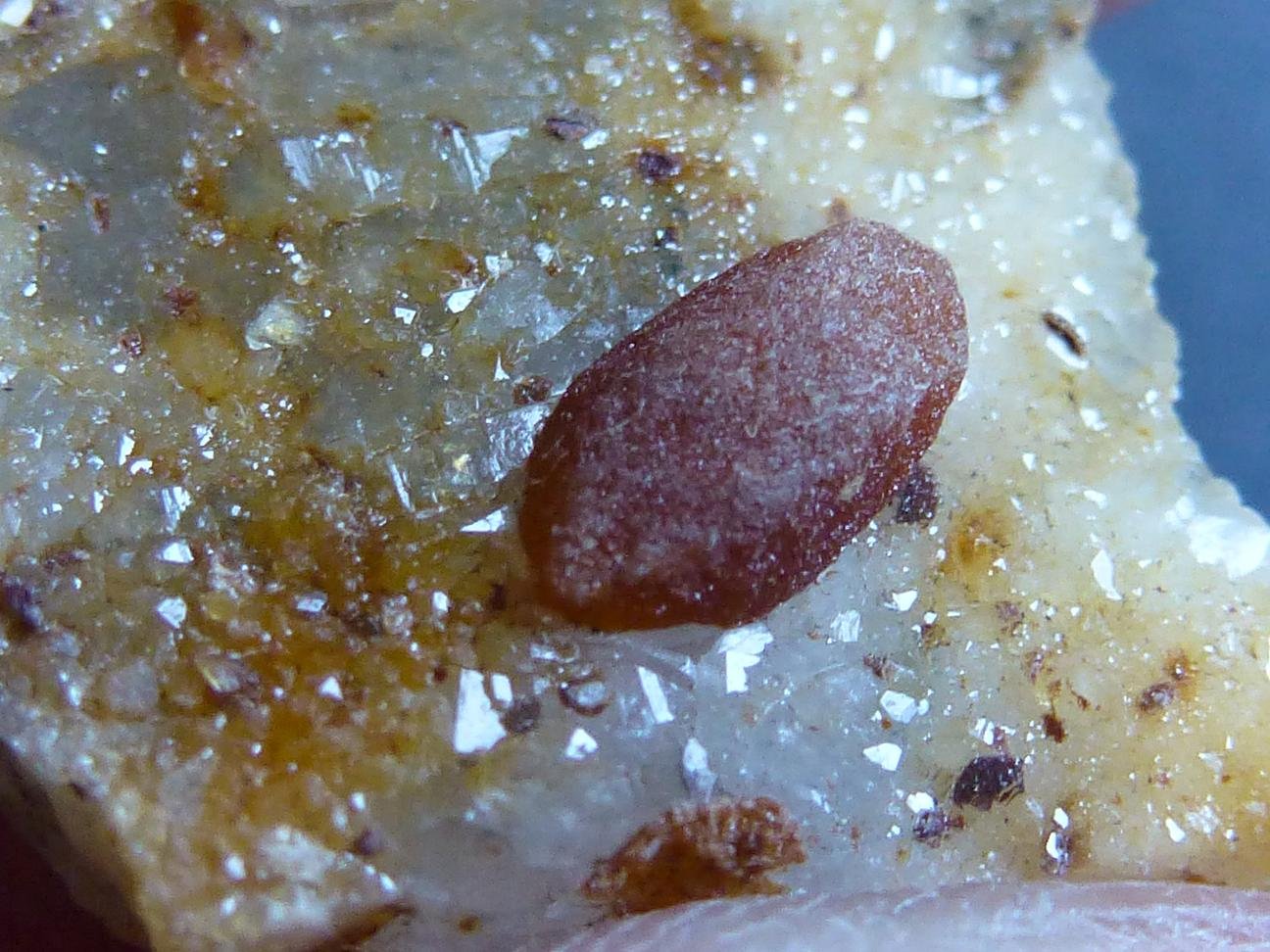Cuarzo
2 x 2 cm.
(Autor: javier ruiz martin)