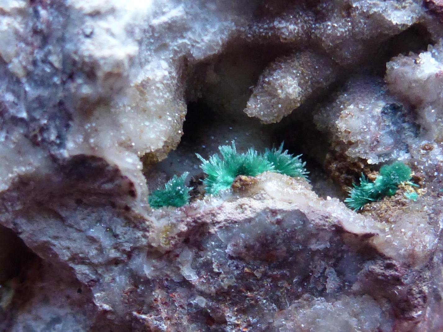 Malaquita en Cuarzo
0,2 cm.
(Autor: javier ruiz martin)