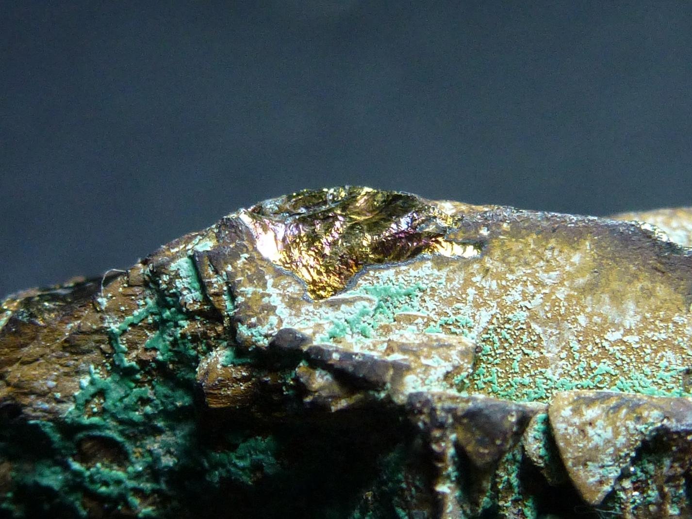 Calcopirita recubierta de Malaquita.
5 x 3 cm.
(Autor: javier ruiz martin)