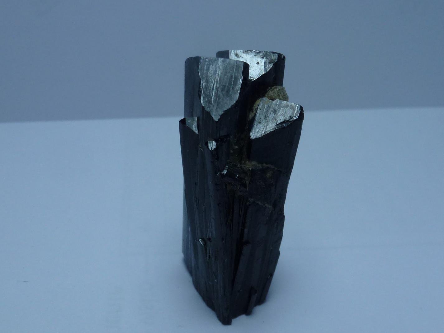 Ilvaita
5 x 1,5 cm.
(Autor: javier ruiz martin)