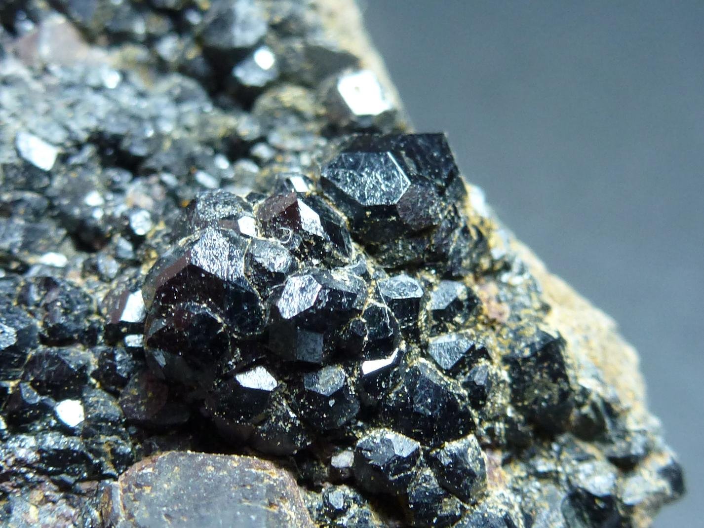 Andradita (variedad melanita) y Magnetita
4 x 4 cm.
(Autor: javier ruiz martin)
