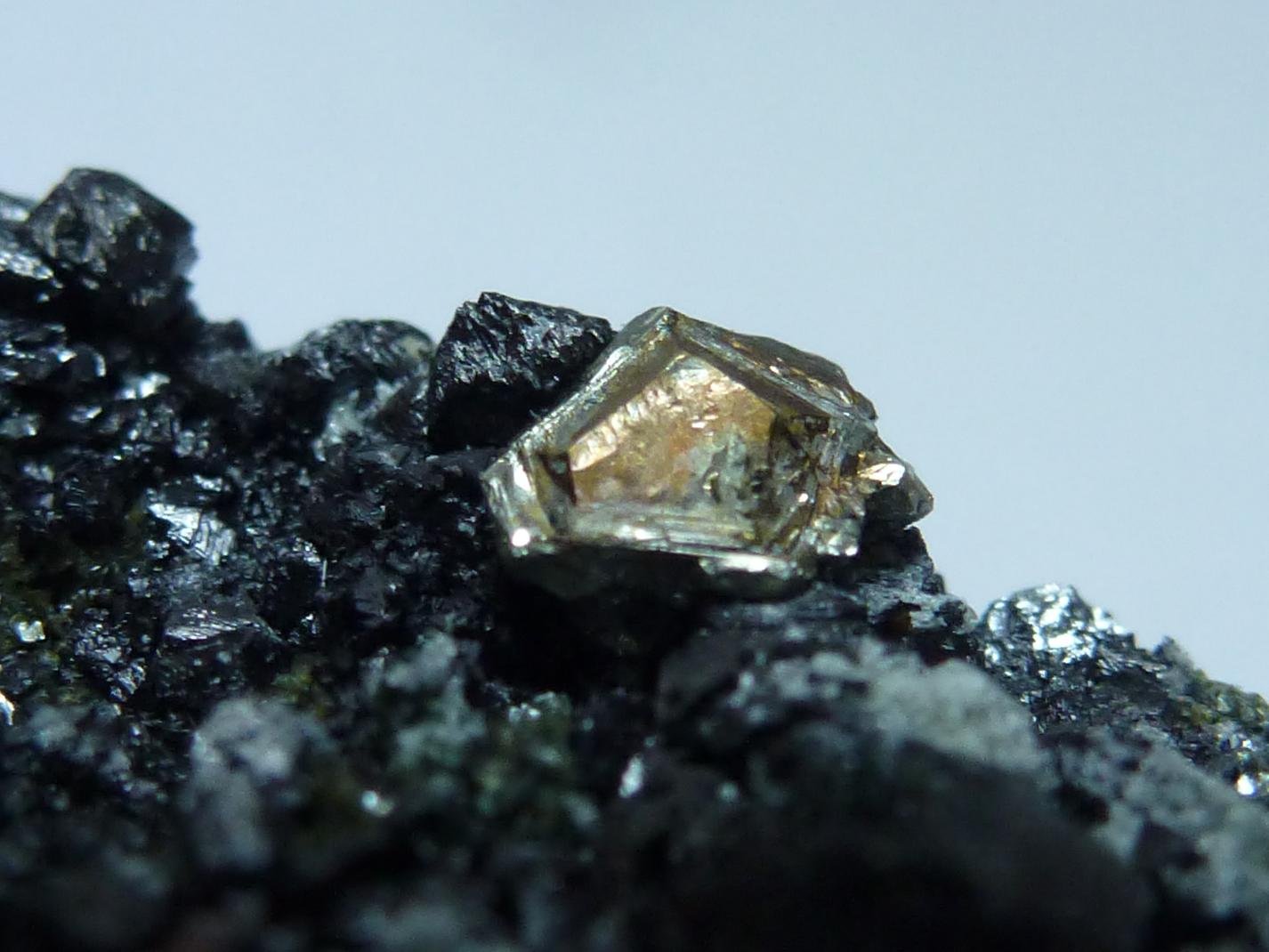 Magnetita, Clinocloro, Pirita, Actinolita y Calcita
7 x 4 cm.
(Autor: javier ruiz martin)