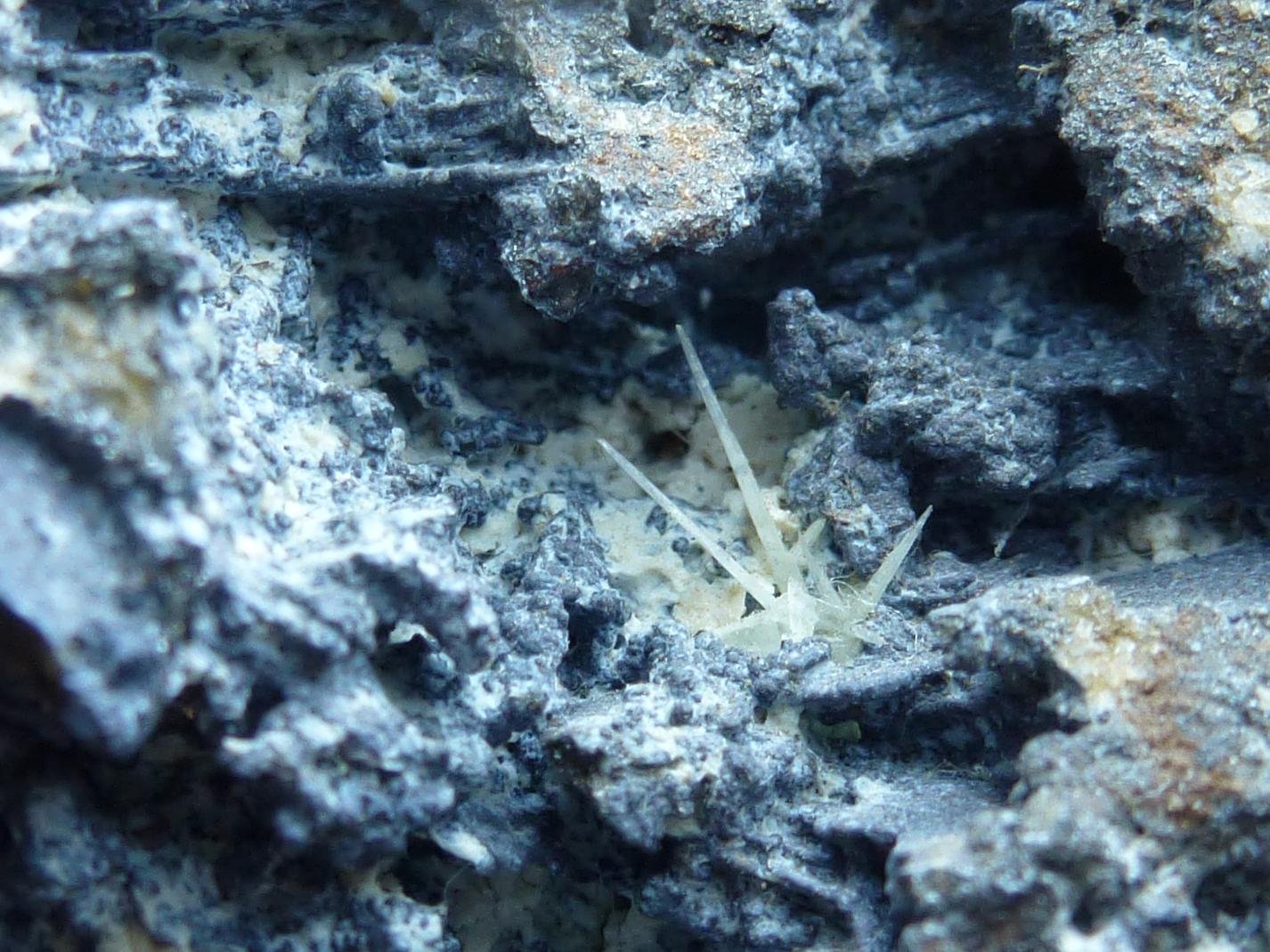 Cerusita
4 x 4 cm.
(Autor: javier ruiz martin)