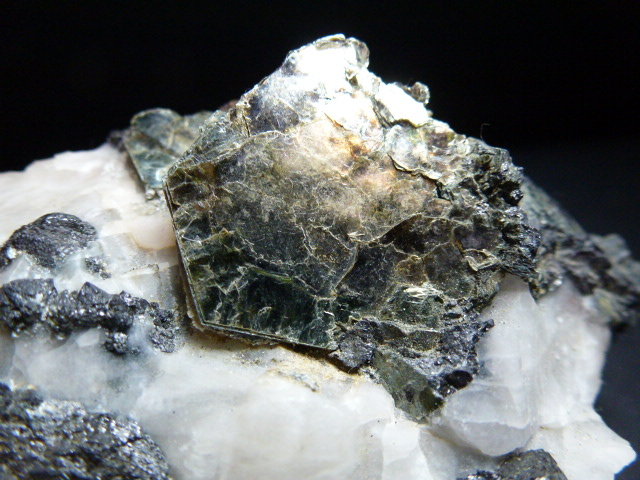 Clinocloro, Magnetita, Calcita, Pirita y Actinolita
11 x 6 cm.
(Autor: javier ruiz martin)