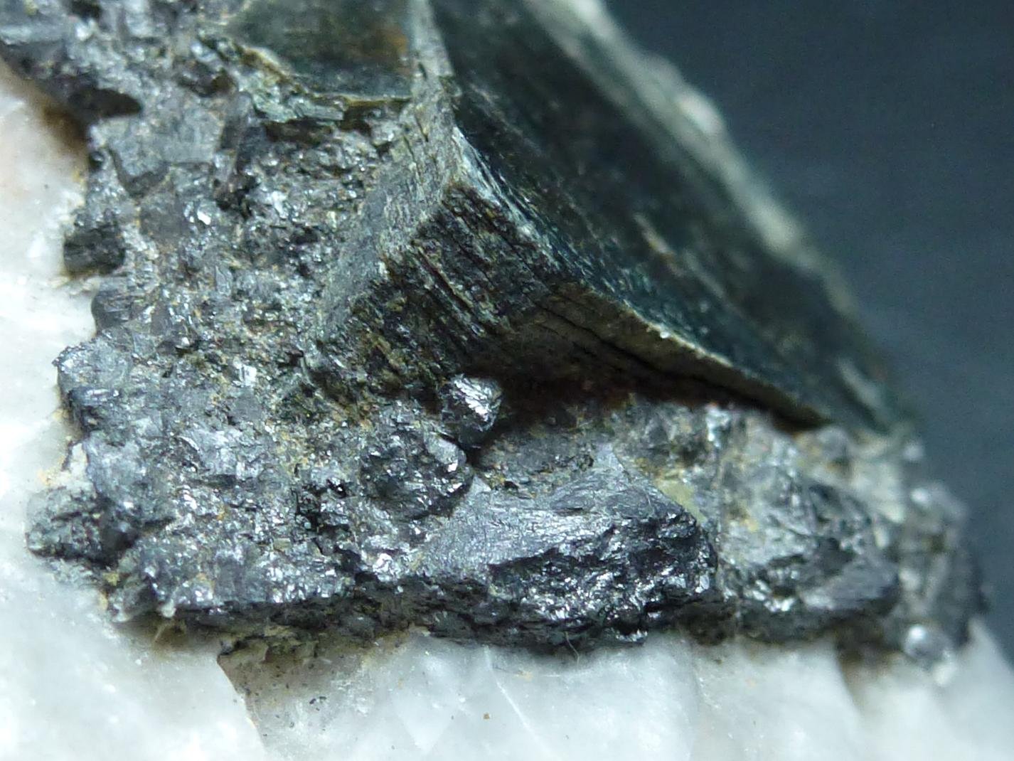 Clinocloro, Magnetita, Calcita, Pirita y Actinolita
11 x 6 cm.
(Autor: javier ruiz martin)