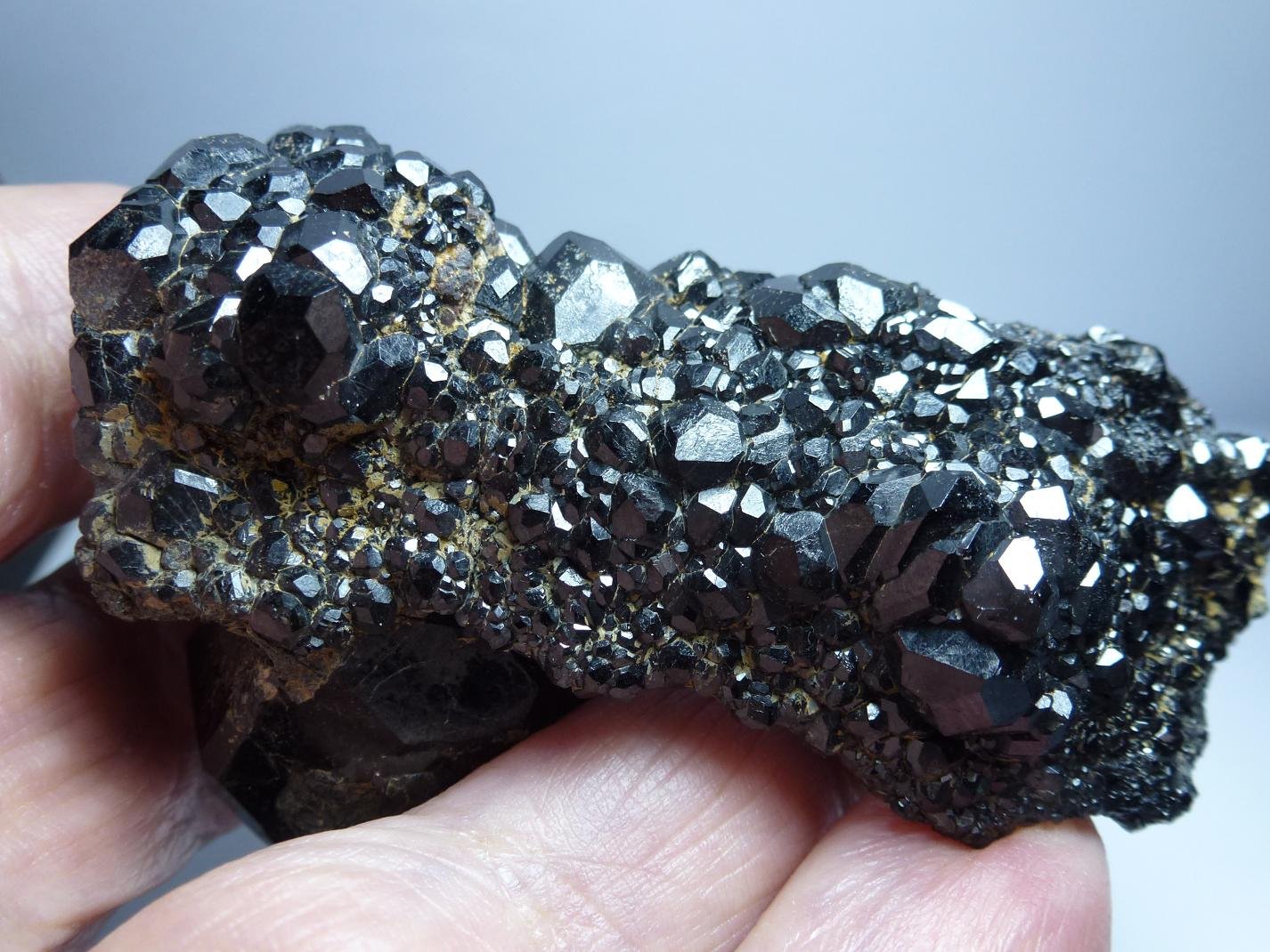 Andradita (variedad melanita), Magnetita
7 x 4 cm.
(Autor: javier ruiz martin)