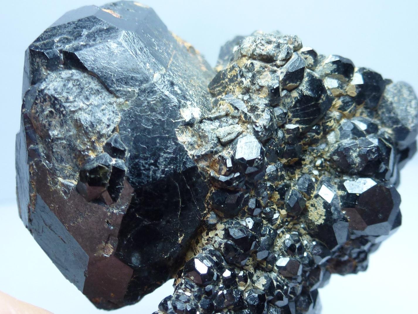 Andradita (variedad melanita), Magnetita
7 x 4 cm. la pieza, 4 x 3 cm. el granate mayor
(Autor: javier ruiz martin)