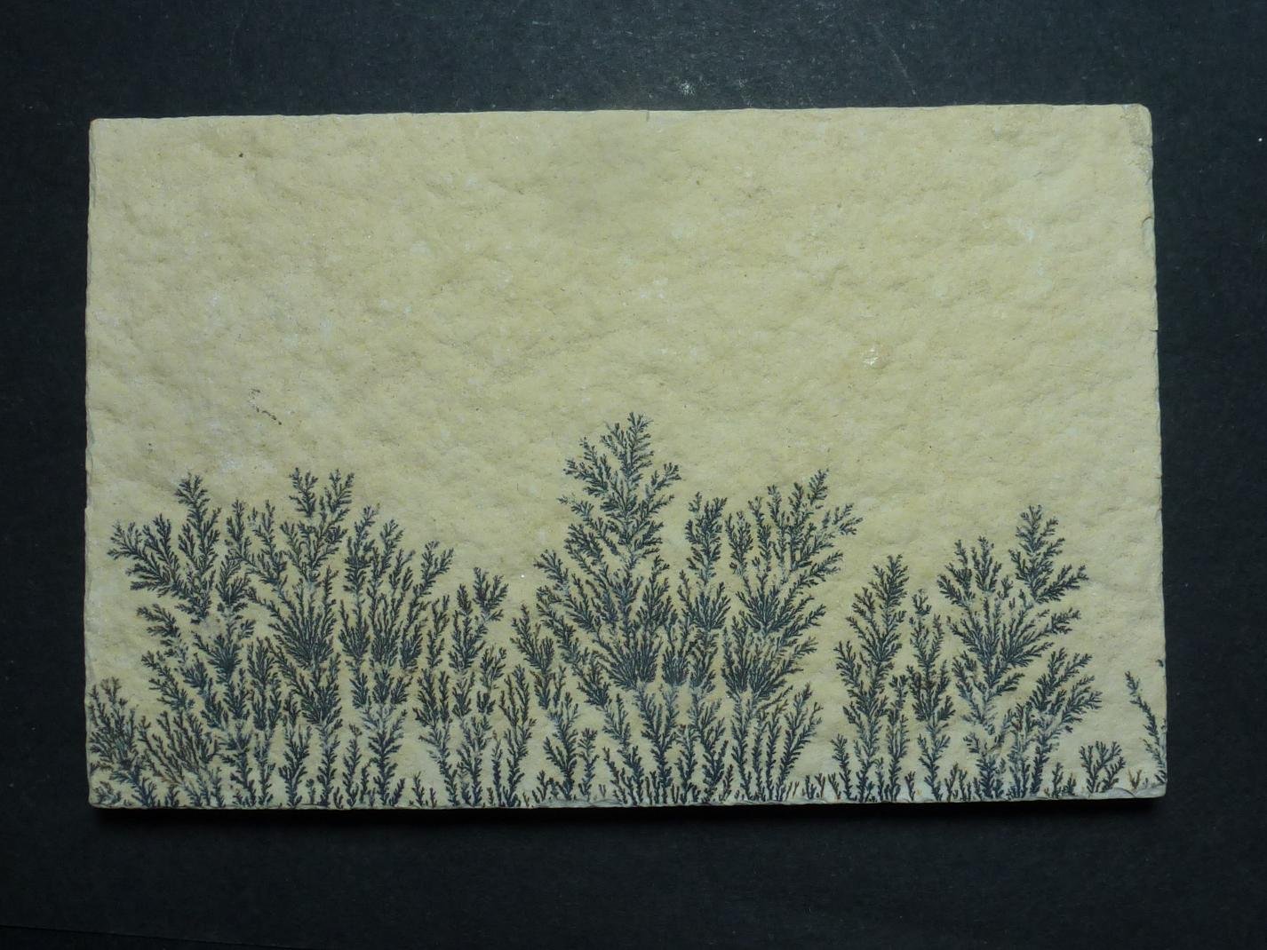 óxidos de manganeso
6 x 4 cm.
(Autor: javier ruiz martin)