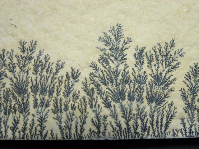 óxidos de manganeso
6 x 4 cm.
(Autor: javier ruiz martin)