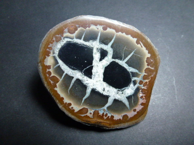Calcita (variedad septaria)
7 x 6 cm.
(Autor: javier ruiz martin)