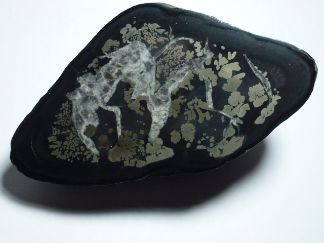 Calcita (variedad septaria), Pirita
8 x 6 cm.
(Autor: javier ruiz martin)