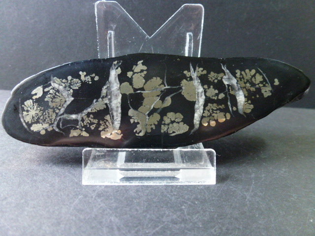 Calcita (variedad septaria), Pirita
11 x 3 cm.
(Autor: javier ruiz martin)