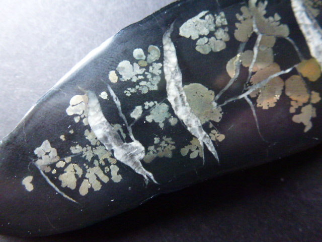 Calcita (variedad septaria), Pirita
11 x 3 cm.
(Autor: javier ruiz martin)