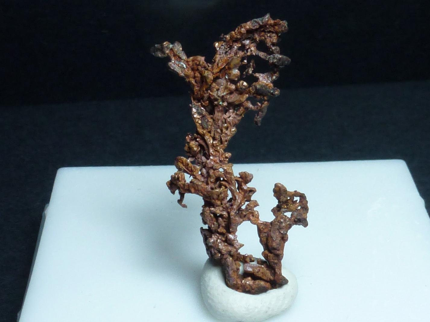 Cobre
2 x 1 cm.
(Autor: javier ruiz martin)