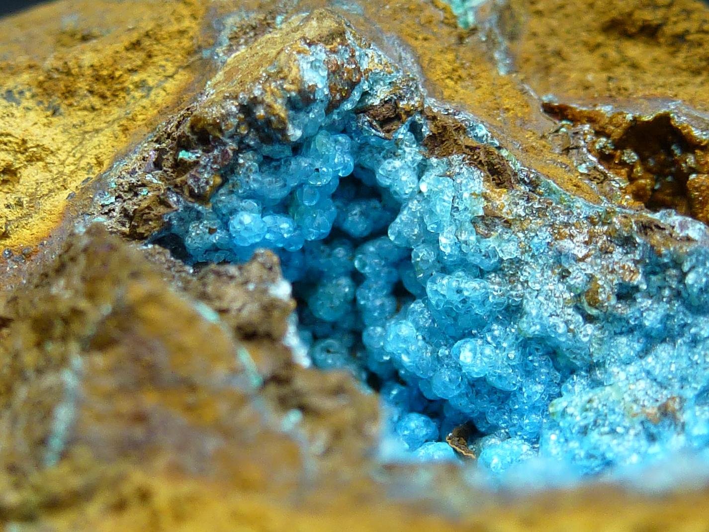 Alofana
4 x 4 cm.
(Autor: javier ruiz martin)