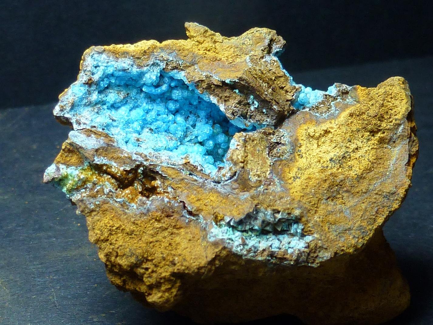 Alofana
4 x 4 cm.
(Autor: javier ruiz martin)