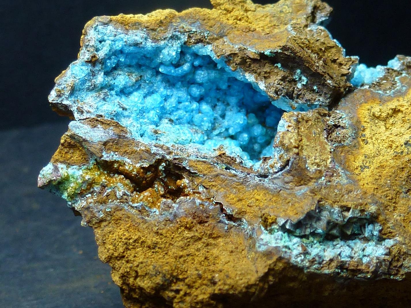 Alofana
4 x 4 cm.
(Autor: javier ruiz martin)