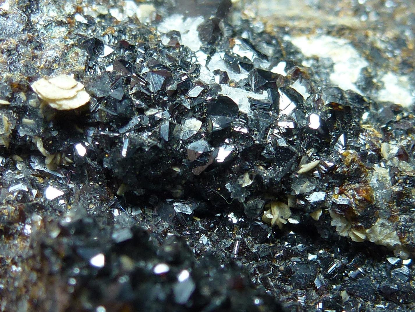 Esfalerita, Siderita
0,2 cm. el cristal de Esfalerita
(Autor: javier ruiz martin)
