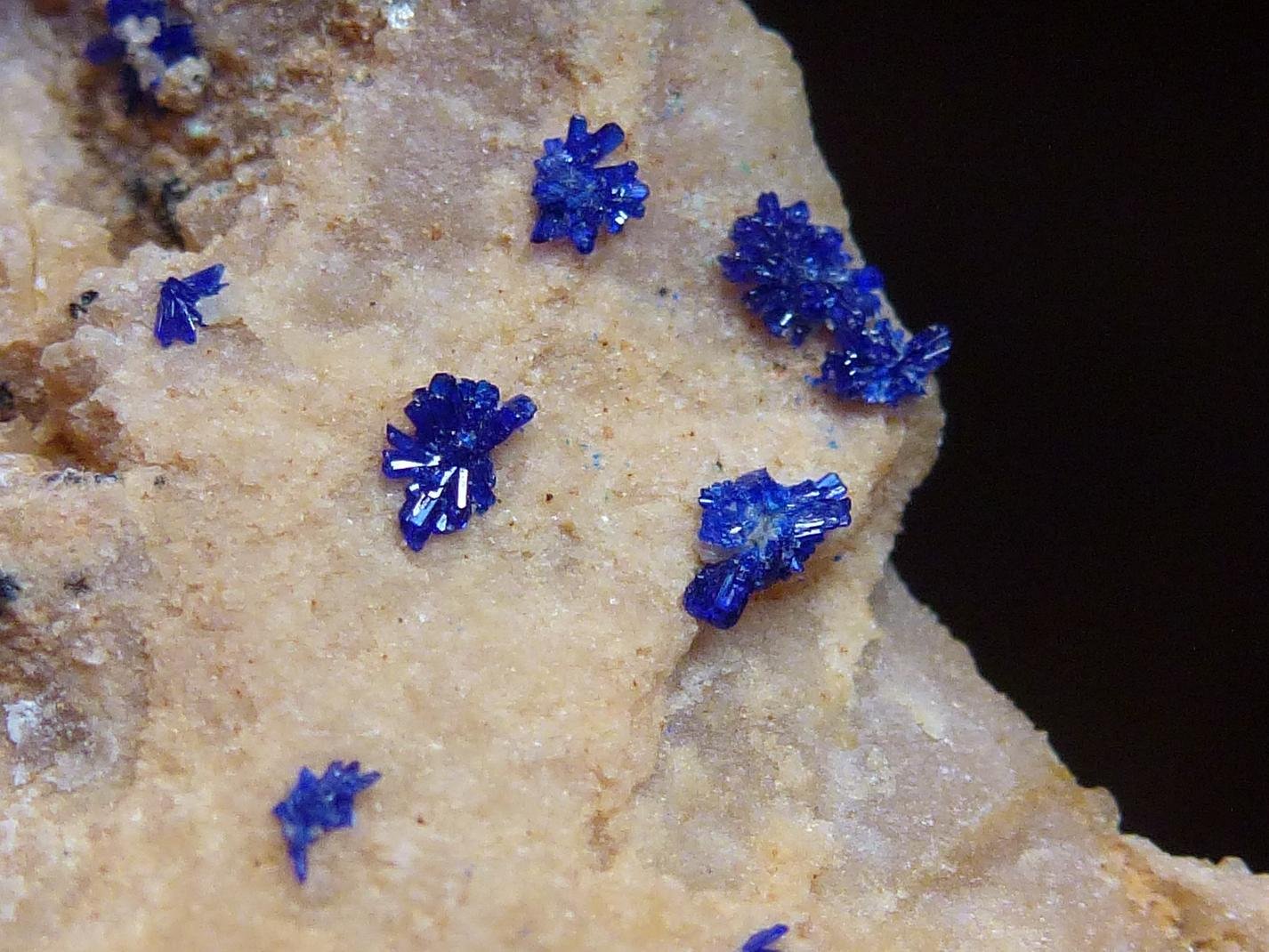 Azurita
6 x 4 cm. la pieza 1 cm. encuadre foto.
(Autor: javier ruiz martin)