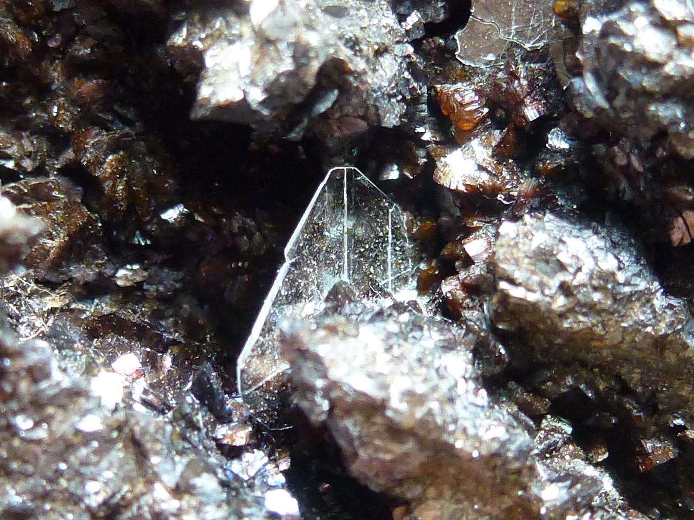 Yeso sobre Siderita
Enfoque 0,8 cm.
(Autor: javier ruiz martin)