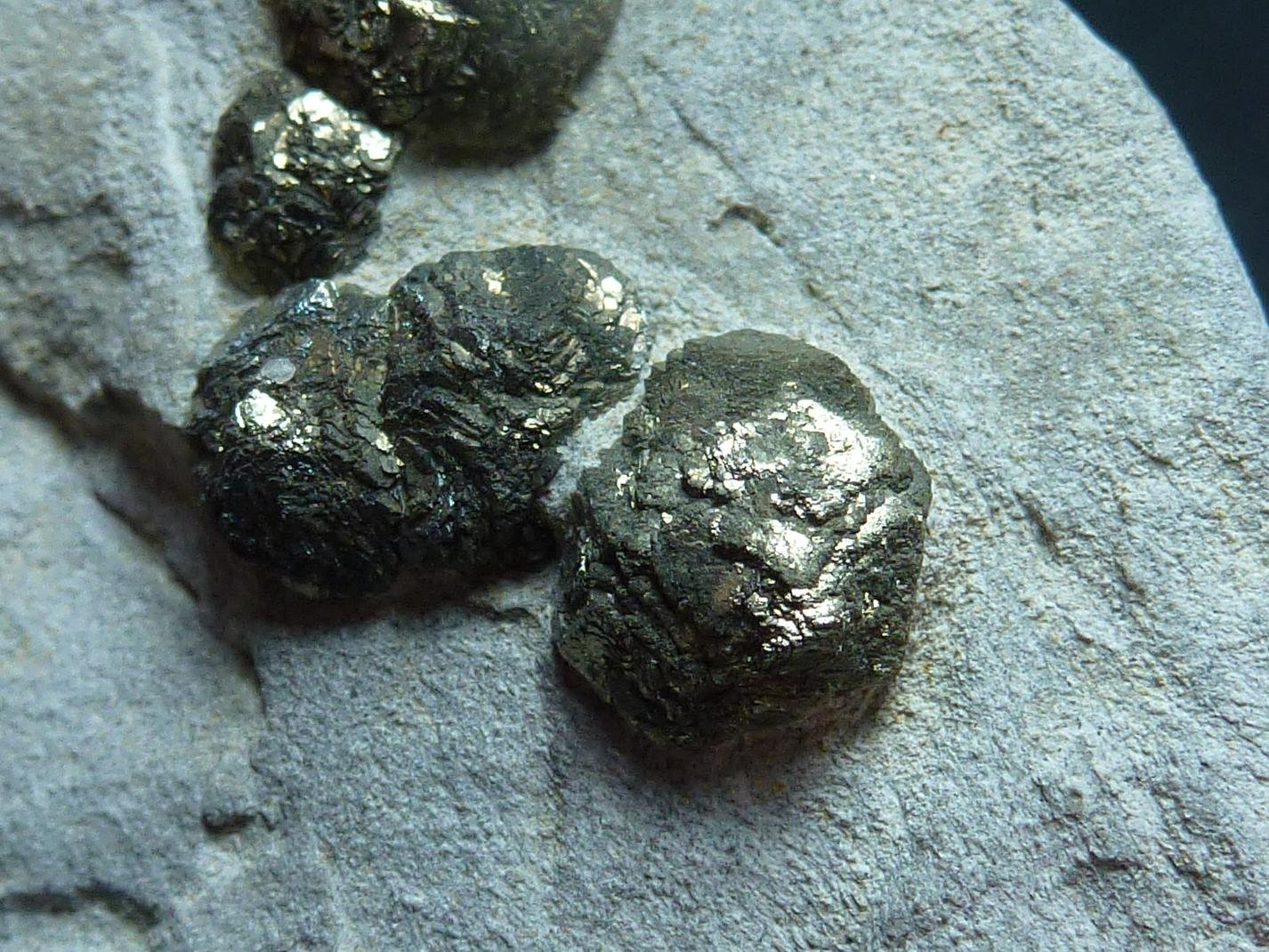 Pirita
5 x 4 cm.
(Autor: javier ruiz martin)