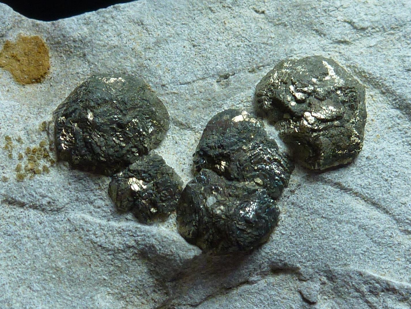 Pirita
5 x 4 cm.
(Autor: javier ruiz martin)