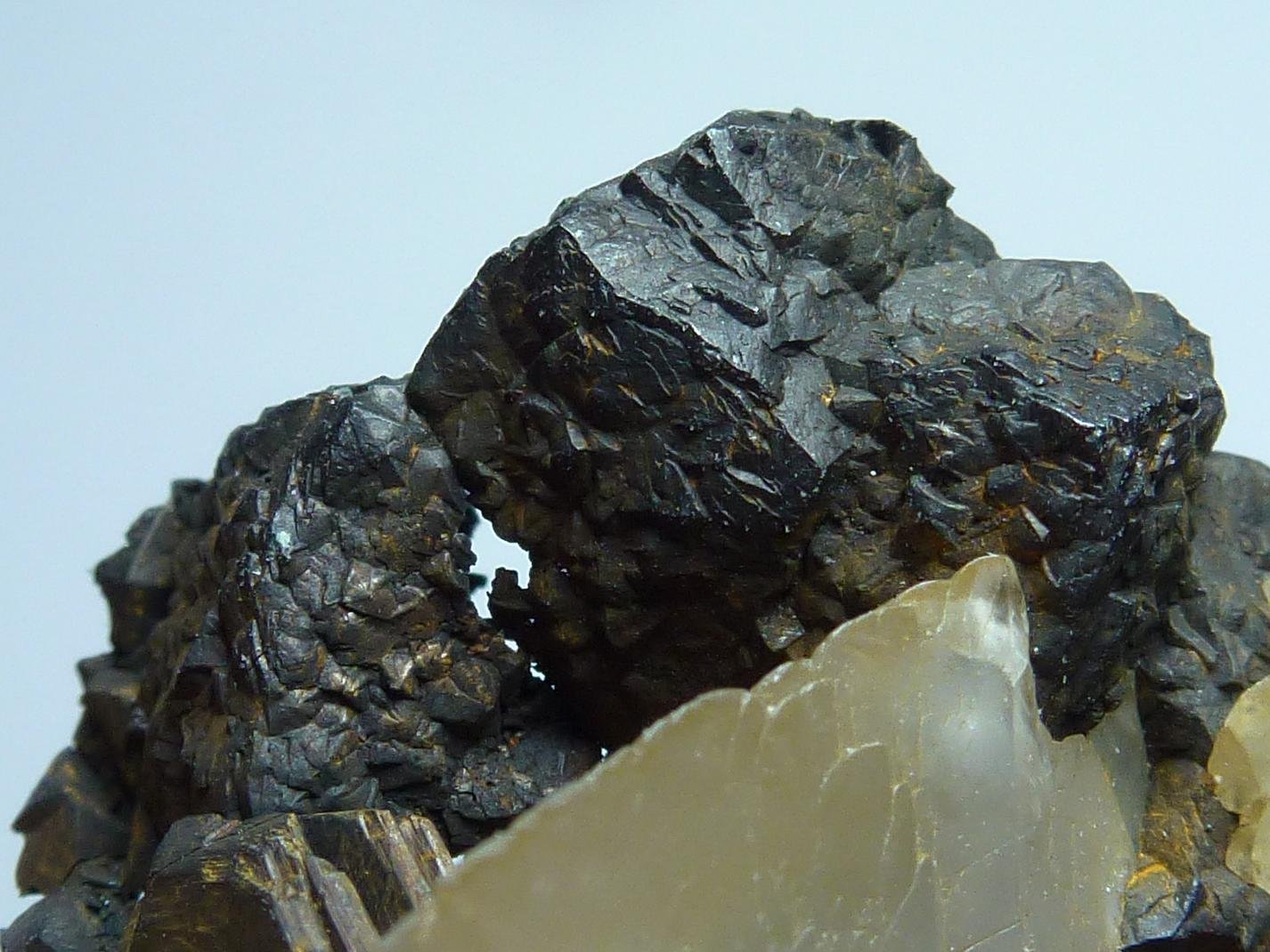 Djurleíta, Calcita
4 x 2,5 cm.
(Autor: javier ruiz martin)
