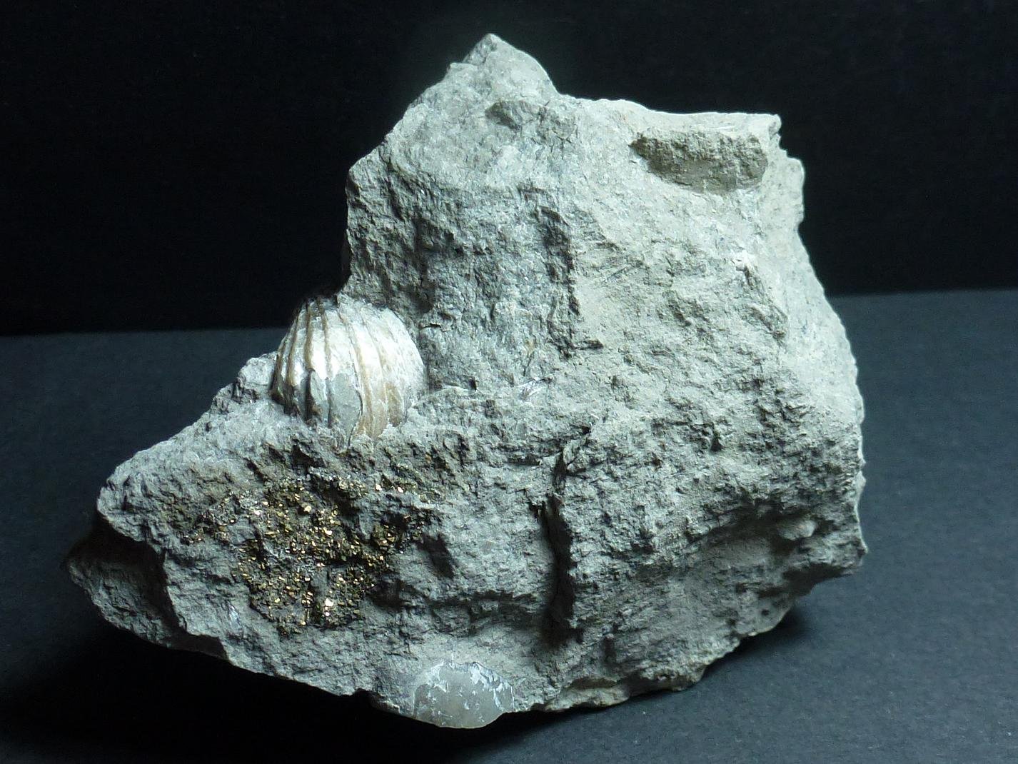 Pirita
7 x 6 cm.
(Autor: javier ruiz martin)