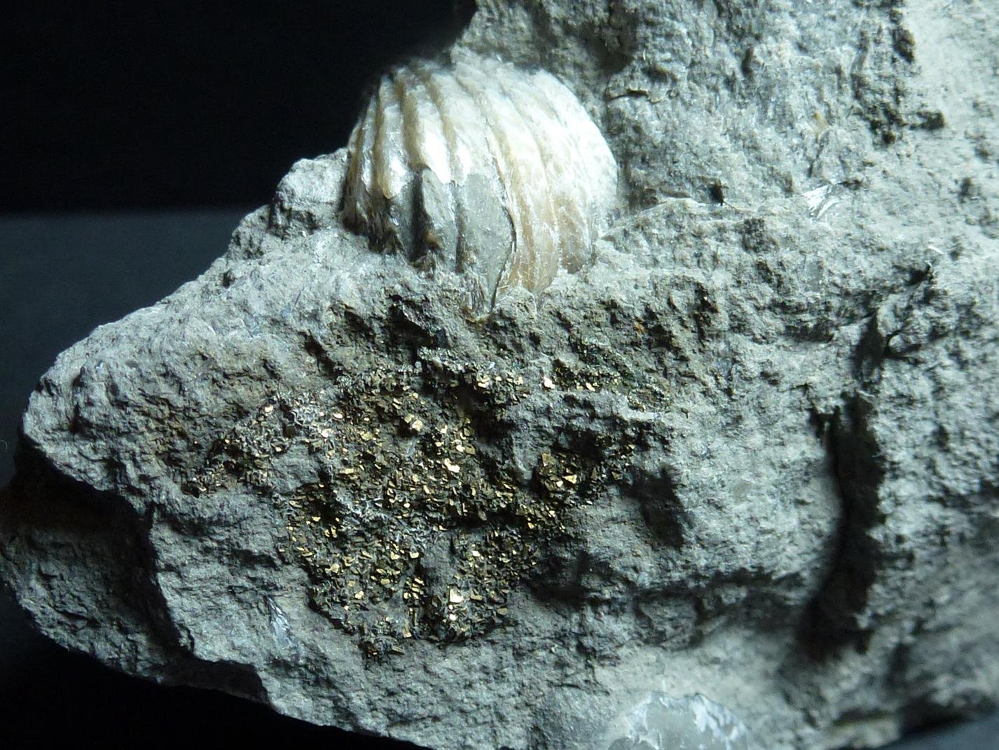 Pirita
7 x 6 cm.
(Autor: javier ruiz martin)