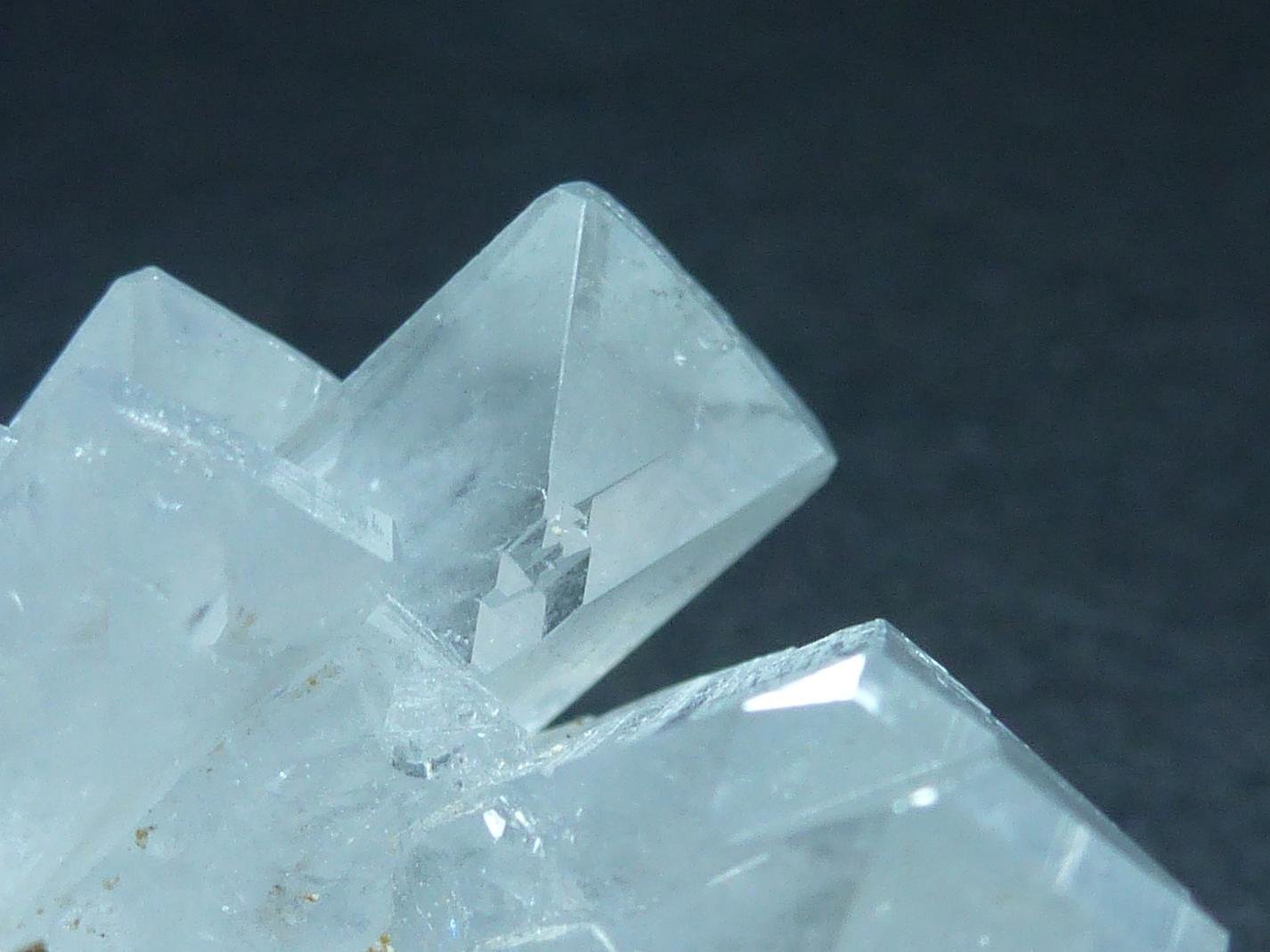 Celestina
6 x 4 cm.
(Autor: javier ruiz martin)