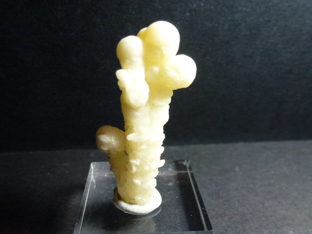 Aragonito
4 x 1,5 cm.
(Autor: javier ruiz martin)