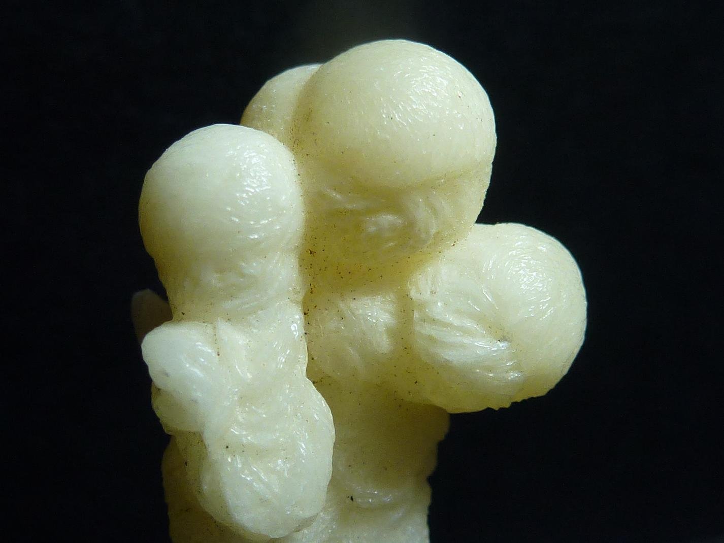 Aragonito
4 x 1,5 cm.
(Autor: javier ruiz martin)